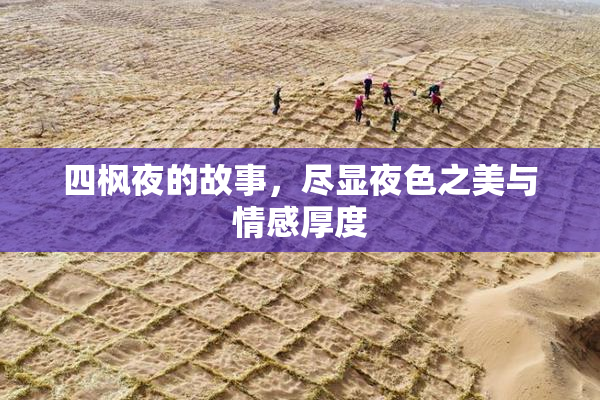 四枫夜的故事，尽显夜色之美与情感厚度