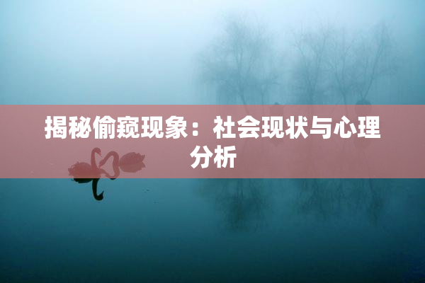 揭秘偷窥现象：社会现状与心理分析