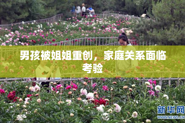 男孩被姐姐重创，家庭关系面临考验
