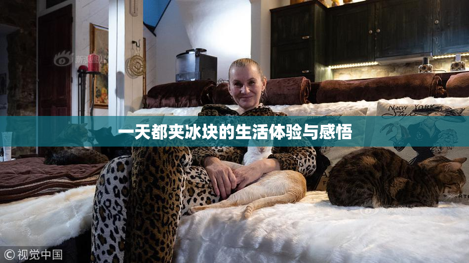 一天都夹冰块的生活体验与感悟