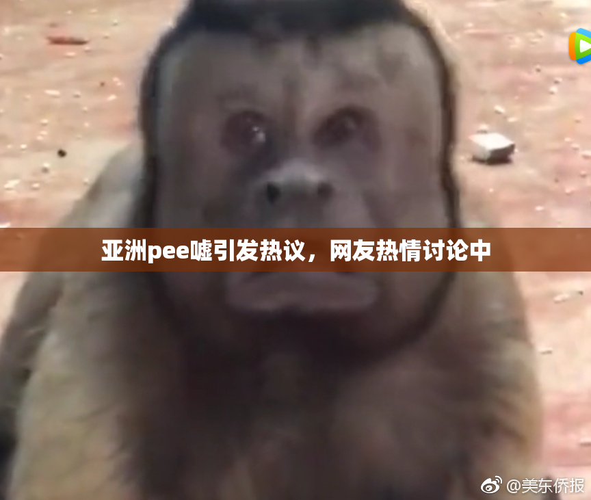 亚洲pee嘘引发热议，网友热情讨论中