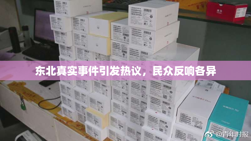 东北真实事件引发热议，民众反响各异