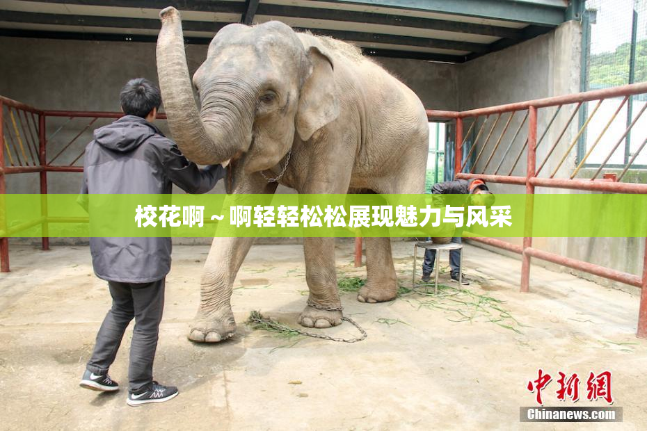 校花啊～啊轻轻松松展现魅力与风采