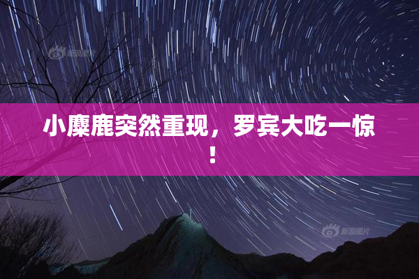 小麋鹿突然重现，罗宾大吃一惊！