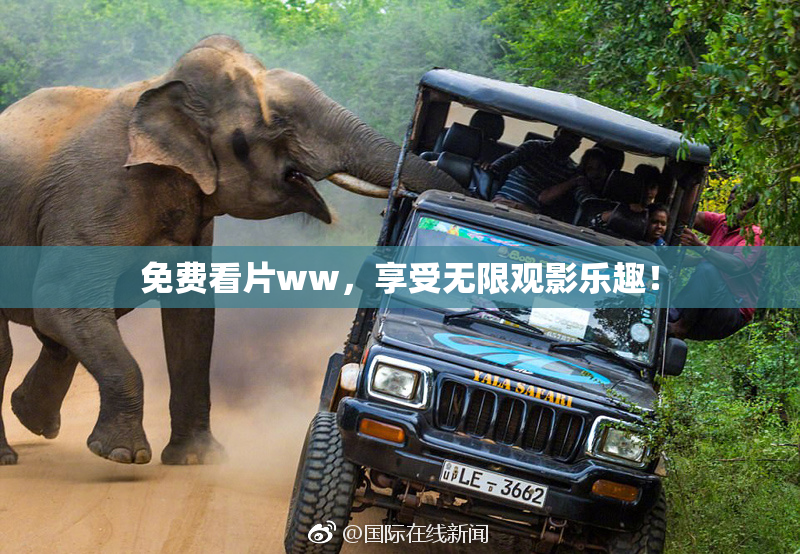 免费看片ww，享受无限观影乐趣！
