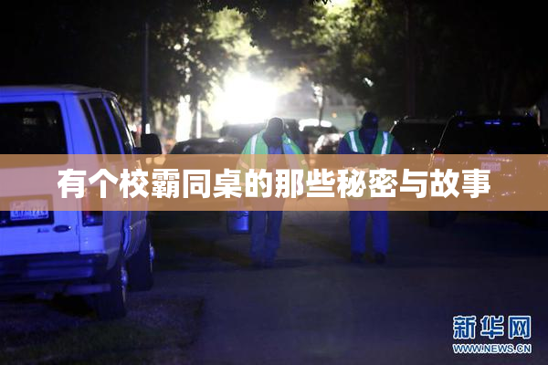 有个校霸同桌的那些秘密与故事