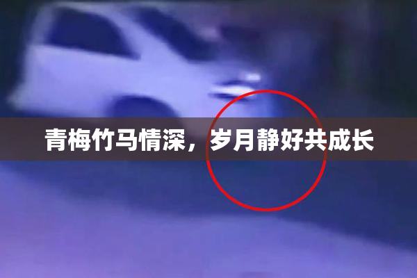 青梅竹马情深，岁月静好共成长