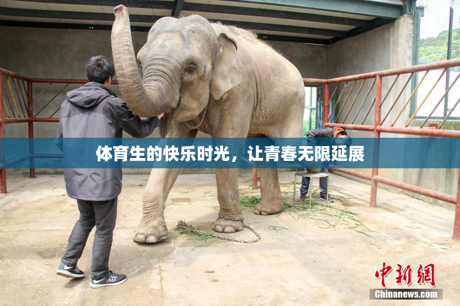 体育生的快乐时光，让青春无限延展