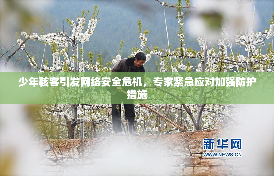 少年骇客引发网络安全危机，专家紧急应对加强防护措施