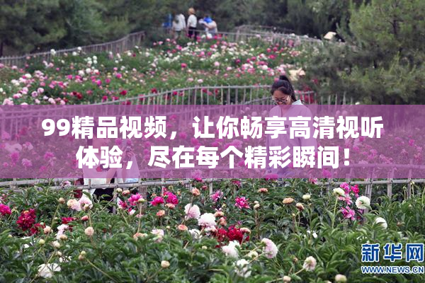 99精品视频，让你畅享高清视听体验，尽在每个精彩瞬间！