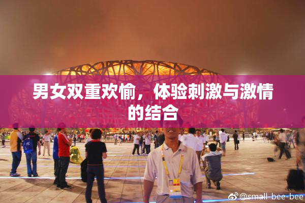 男女双重欢愉，体验刺激与激情的结合