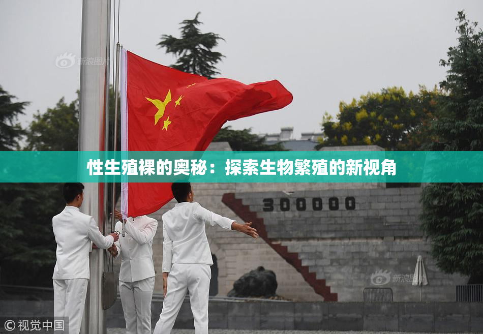 性生殖裸的奥秘：探索生物繁殖的新视角