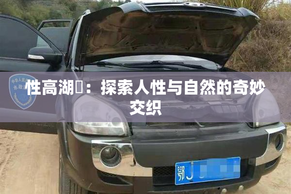 性高湖婬：探索人性与自然的奇妙交织