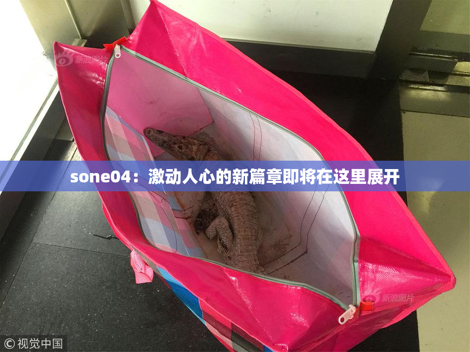 sone04：激动人心的新篇章即将在这里展开