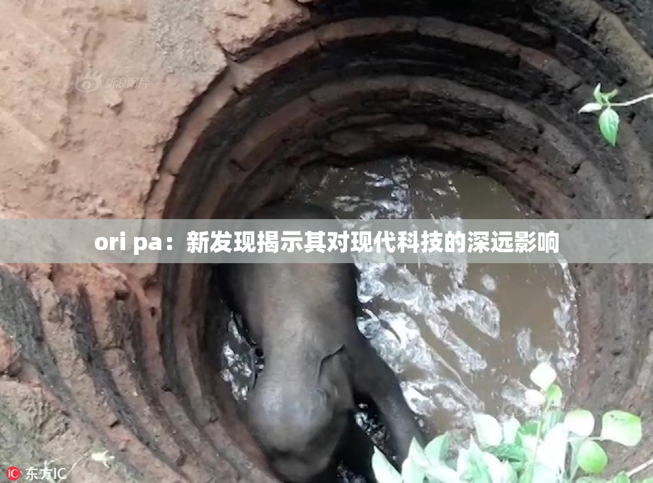 ori pa：新发现揭示其对现代科技的深远影响