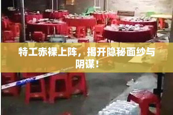 特工赤裸上阵，揭开隐秘面纱与阴谋！