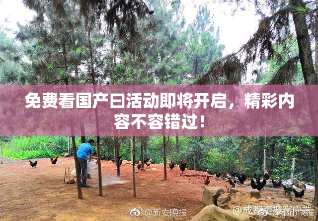 免费看国产曰活动即将开启，精彩内容不容错过！