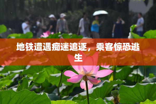 地铁遭遇痴迷追逐，乘客惊恐逃生