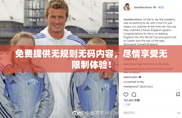 免费提供无规则无码内容，尽情享受无限制体验！