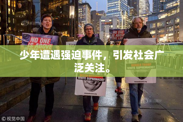 少年遭遇强迫事件，引发社会广泛关注。