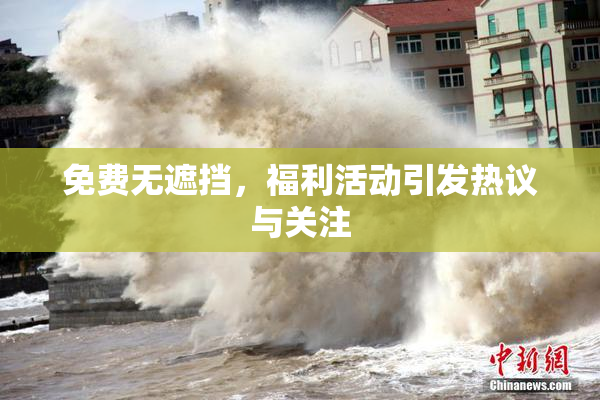 免费无遮挡，福利活动引发热议与关注