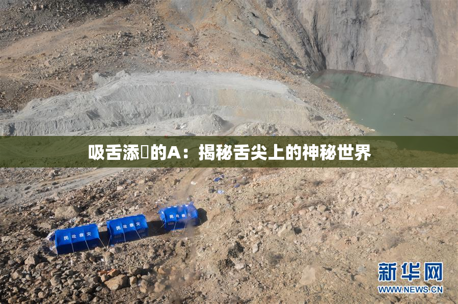 吸舌添泬的A：揭秘舌尖上的神秘世界