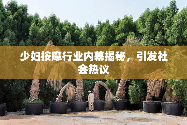 少妇按摩行业内幕揭秘，引发社会热议
