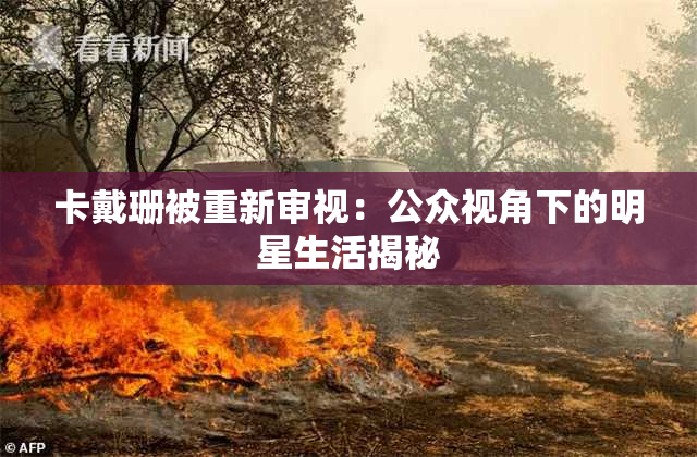 卡戴珊被重新审视：公众视角下的明星生活揭秘