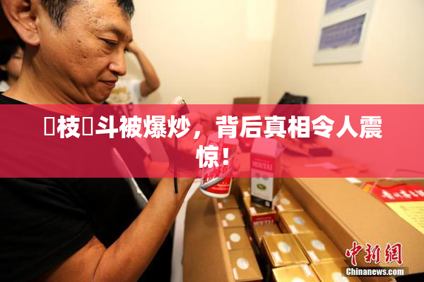 狛枝凪斗被爆炒，背后真相令人震惊！