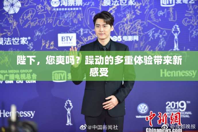 陛下，您爽吗？躁动的多重体验带来新感受