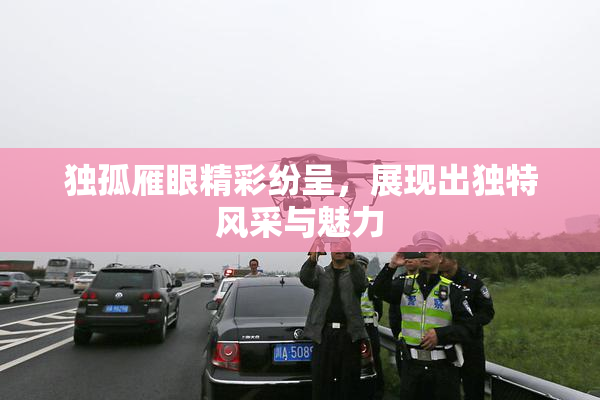 独孤雁眼精彩纷呈，展现出独特风采与魅力