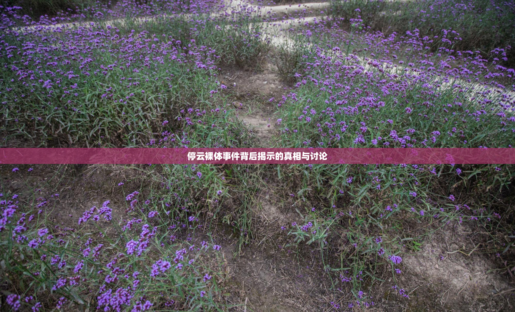 停云裸体事件背后揭示的真相与讨论