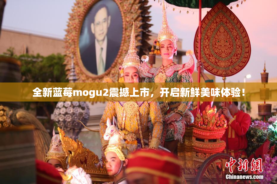 全新蓝莓mogu2震撼上市，开启新鲜美味体验！