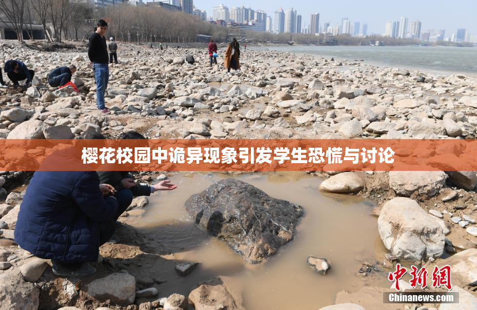 樱花校园中诡异现象引发学生恐慌与讨论
