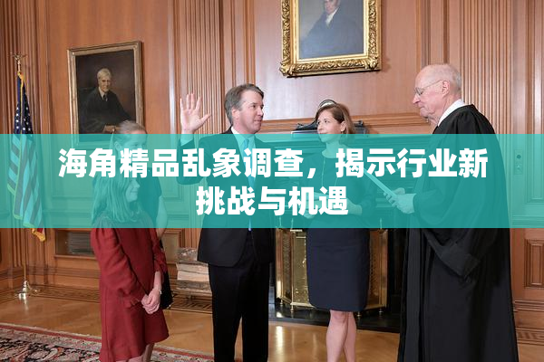 海角精品乱象调查，揭示行业新挑战与机遇