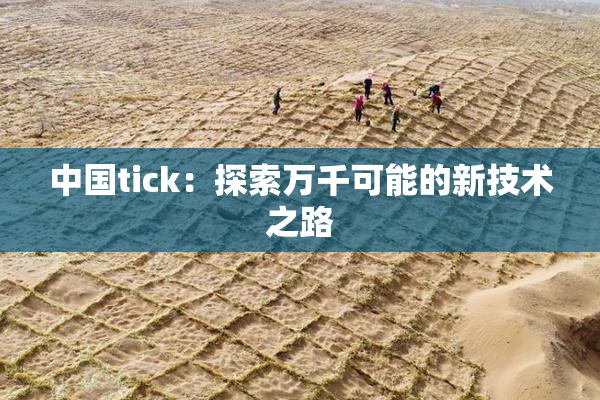 中国tick：探索万千可能的新技术之路