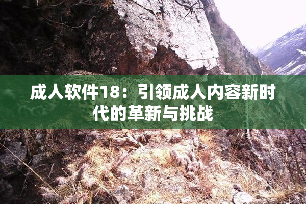 成人软件18：引领成人内容新时代的革新与挑战