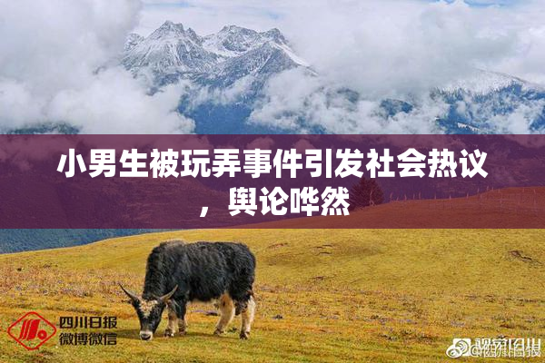 小男生被玩弄事件引发社会热议，舆论哗然