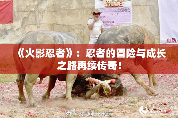 《火影忍者》：忍者的冒险与成长之路再续传奇！