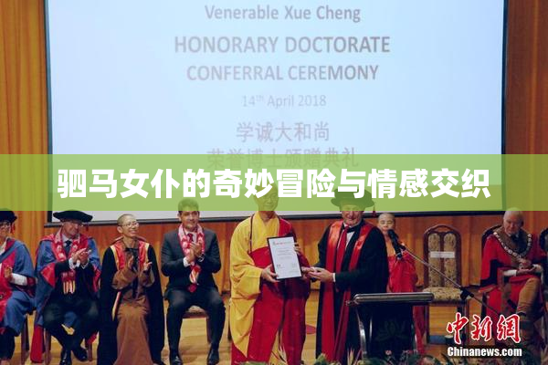 驷马女仆的奇妙冒险与情感交织