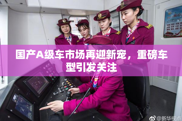 国产A级车市场再迎新宠，重磅车型引发关注