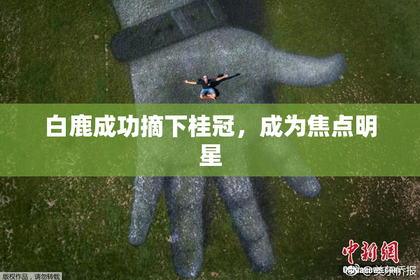 白鹿成功摘下桂冠，成为焦点明星