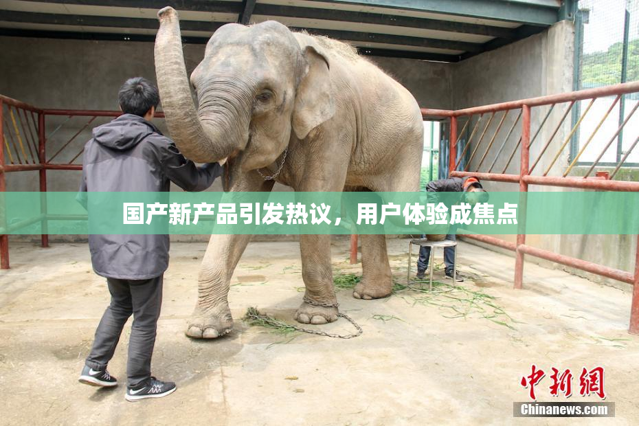 国产新产品引发热议，用户体验成焦点