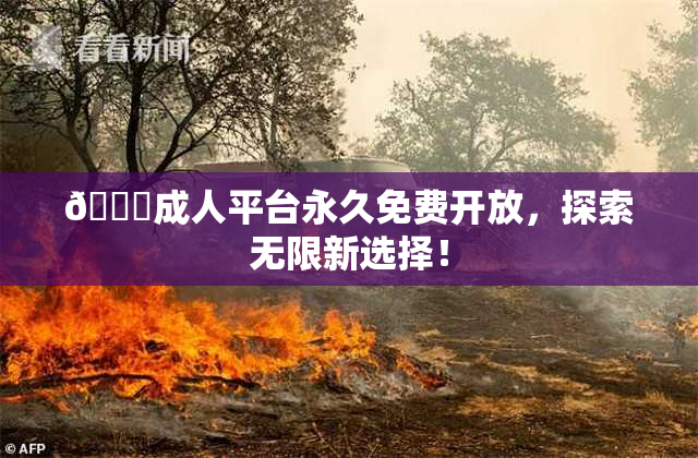 🔞成人平台永久免费开放，探索无限新选择！