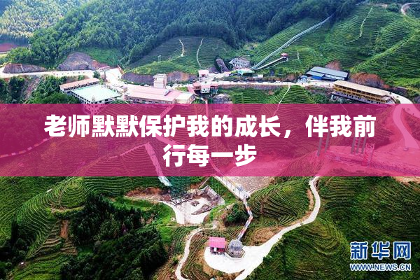 老师默默保护我的成长，伴我前行每一步