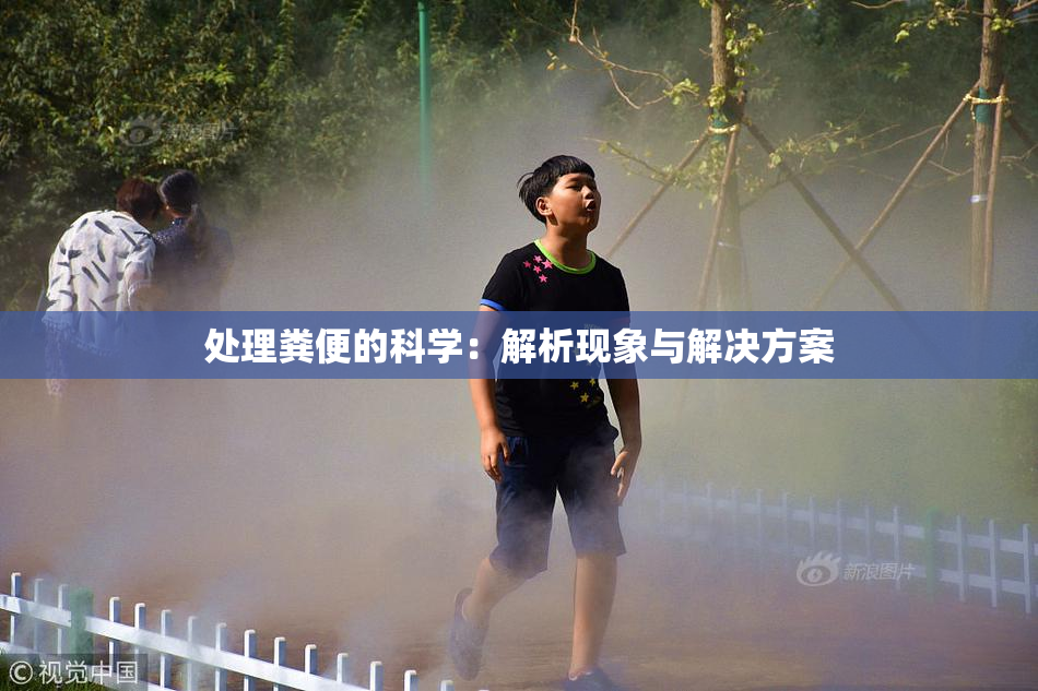 处理粪便的科学：解析现象与解决方案