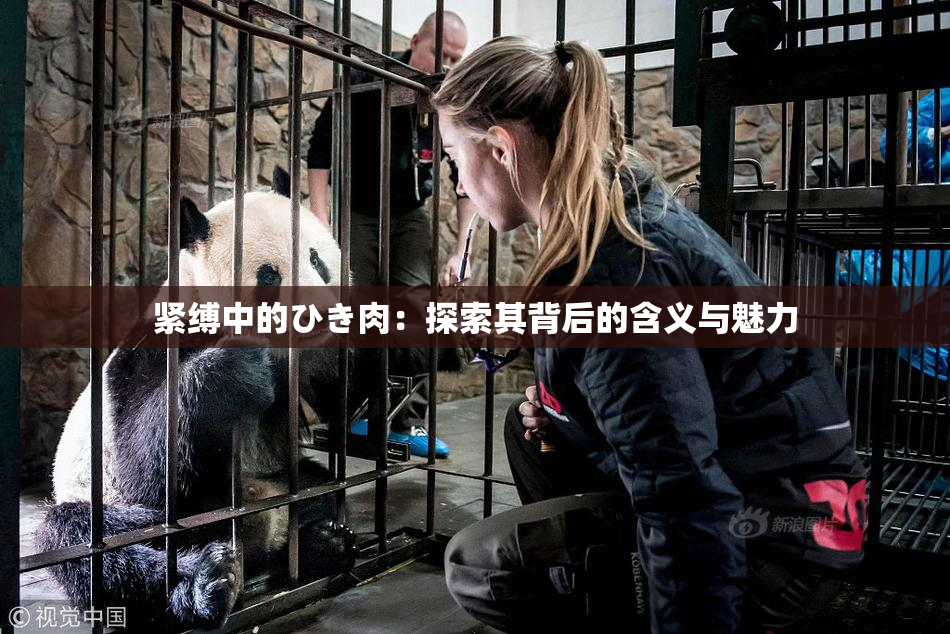 紧缚中的ひき肉：探索其背后的含义与魅力