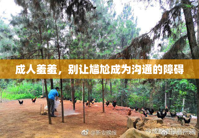 成人羞羞，别让尴尬成为沟通的障碍