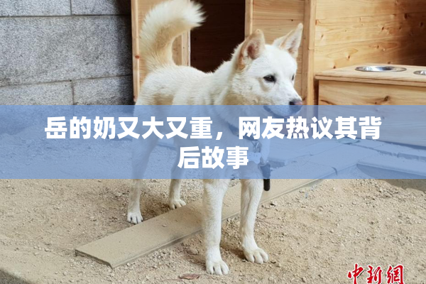 岳的奶又大又重，网友热议其背后故事
