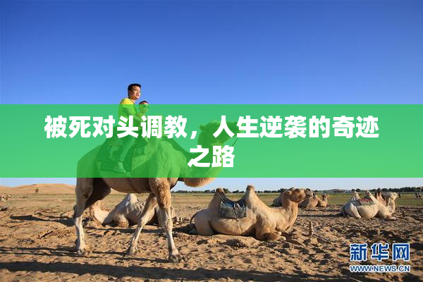 被死对头调教，人生逆袭的奇迹之路